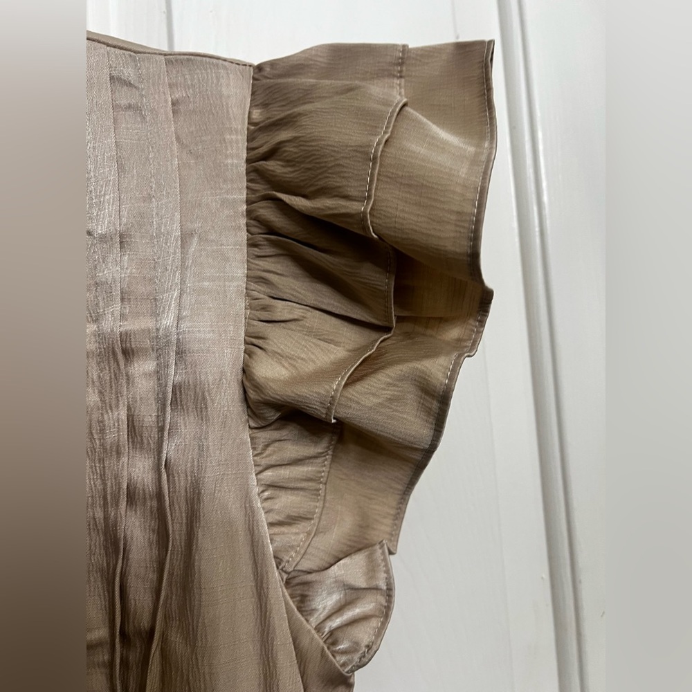 TCEC Beige Ruffled Dress - Picture 4 of 7